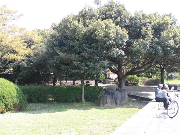 신산공원